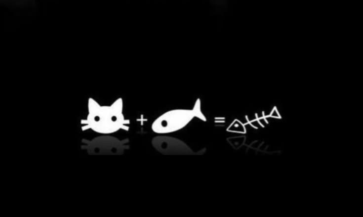 cat with fishbone